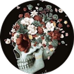 Profile photo of Rachel Rachel