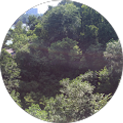 Profile photo of M Mendoza