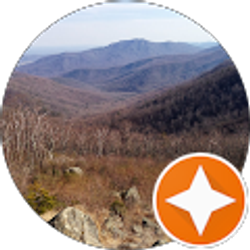 Profile photo of M. Saad Akhtar