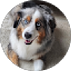 Profile photo of jeff Freburg