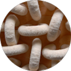 Profile photo of Steve Banaszek