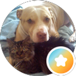 Profile photo of Michele Hoffman