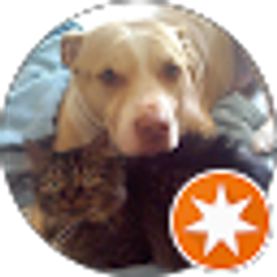 Profile photo of Michele Hoffman