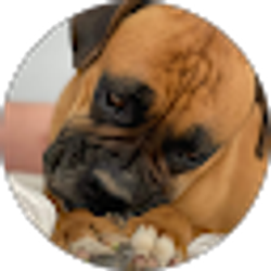 Profile photo of B