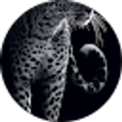 Profile photo of Gordon Buchanan