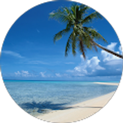 Profile photo of Suzi Shuga