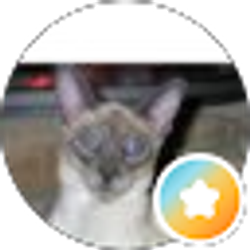 Profile photo of Ron D