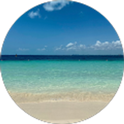 Profile photo of Sophia Kehrib