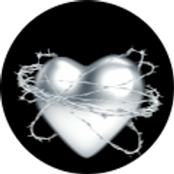 Profile photo of Savannah Swisher