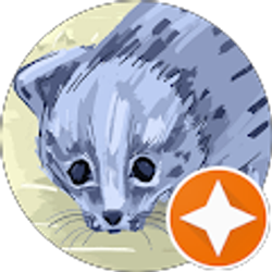 Profile photo of adry zayas