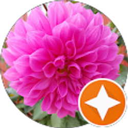 Profile photo of A Boykin