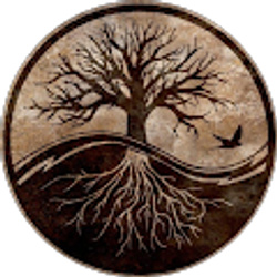 Profile photo of Coach L.