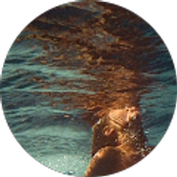 Profile photo of The Imagery xx