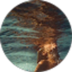 Profile photo of The Imagery xx