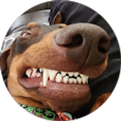 Profile photo of Charles Ritz