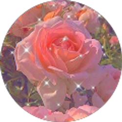 Profile photo of Maria Benitez