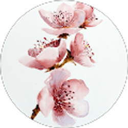 Profile photo of abigail mccumber