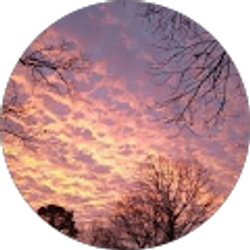 Profile photo of Dawn C