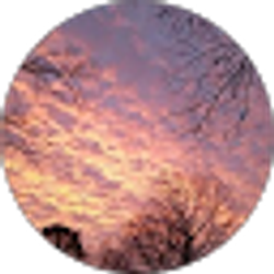 Profile photo of Dawn C