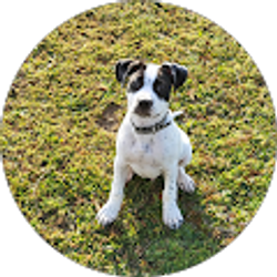 Profile photo of Larry brown