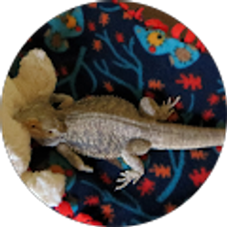 Profile photo of Nancy Stokes