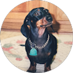 Profile photo of John Chan