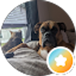 Profile photo of Chad Seibold