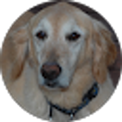 Profile photo of NICK CM