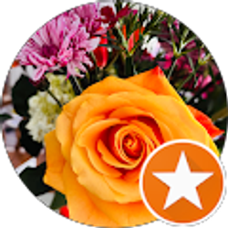 Profile photo of Sarah Marie