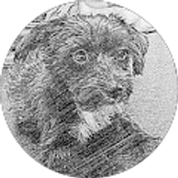 Profile photo of Jack Hyde