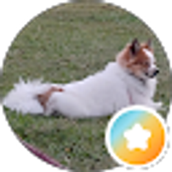 Profile photo of Sheila Young (Sheshe)