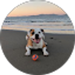 Profile photo of Wes George