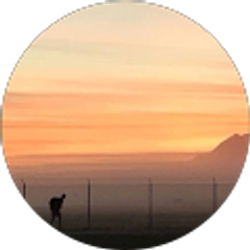 Profile photo of Jennifer Branch