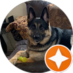 Profile photo of Tasha Neal