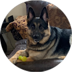 Profile photo of Tasha Neal