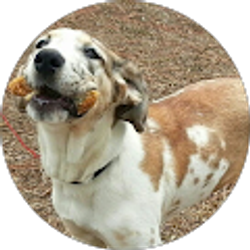 Profile photo of Elisa Oree