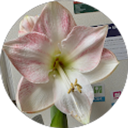 Profile photo of Geoff R