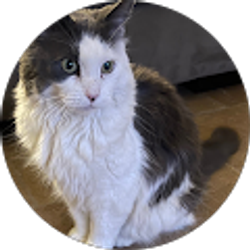 Profile photo of Dan Marso