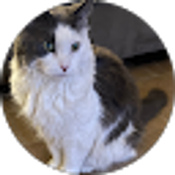 Profile photo of Dan Marso