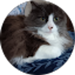 Profile photo of Shirley Sanders