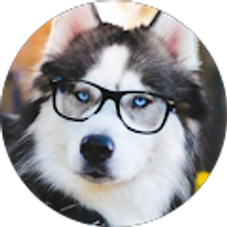 Profile photo of Luis Toledo