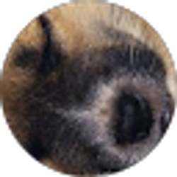 Profile photo of horse army “horse leader kreek”
