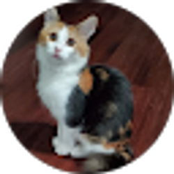 Profile photo of Elizabeth B