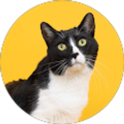 Profile photo of Dee Dee Bumpous