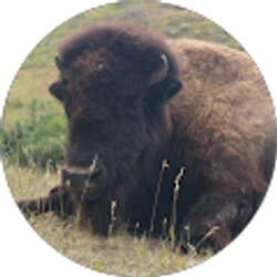 Profile photo of robert chupick