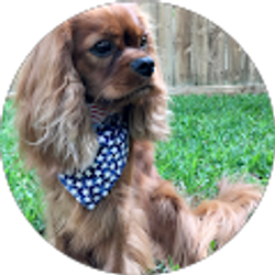 Profile photo of Jim / Kelly Wallace