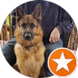 Profile photo of Jason Edwards