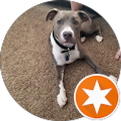 Profile photo of Chris