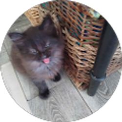 Profile photo of Jessica Weger