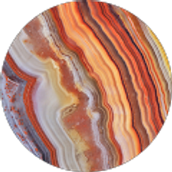 Profile photo of Brandie Ocean